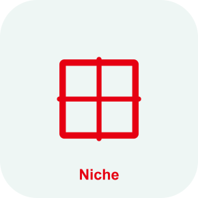 Опция Niche Mindray Consona N6