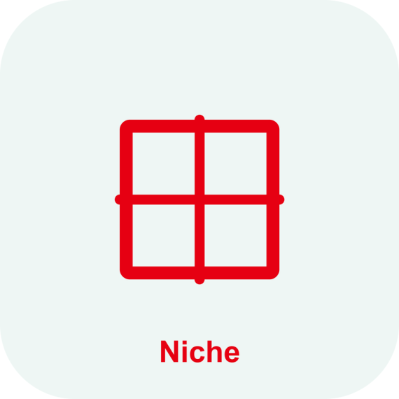 Опция Niche Mindray Consona N6