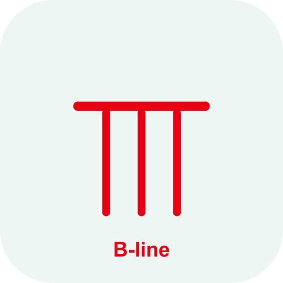 Опция Smart B-line Mindray Consona N6