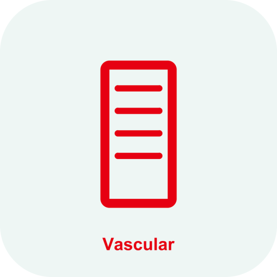 Опция DICOM Vascular S/R Mindray Consona N6
