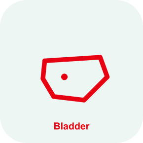 Опция Smart Bladder Mindray Consona N6