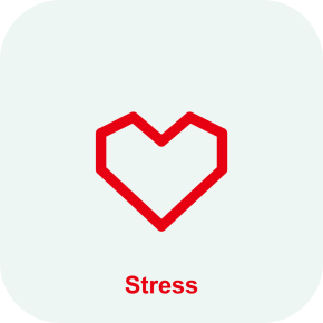 Опция Stress Echo Mindray Consona N6