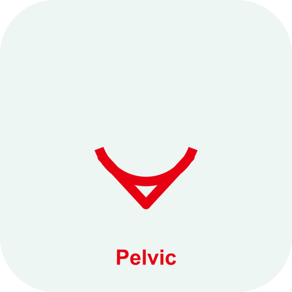 Опция Smart Pelvic Mindray Consona N6
